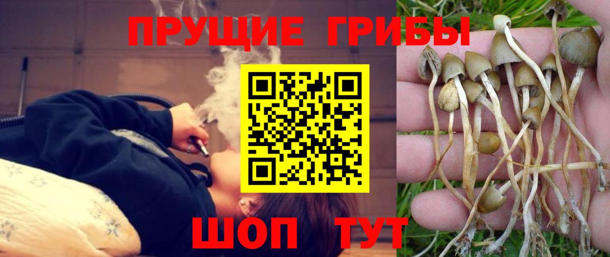 Галлюциногенные грибы прущие грибы Черкесск