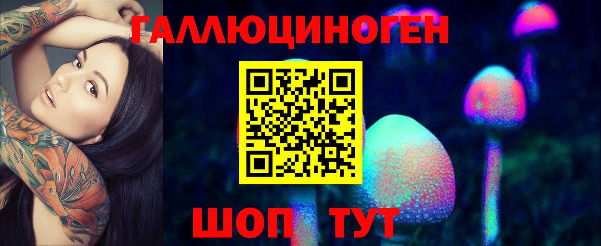 Галлюциногенные грибы прущие грибы  Галлюциногенные грибы Cubensis  Вход с VPN  Черкесск 